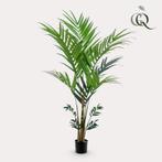 Kunstplant - Kentia -Kentiapalm - 180 cm, Verzenden, Nieuw