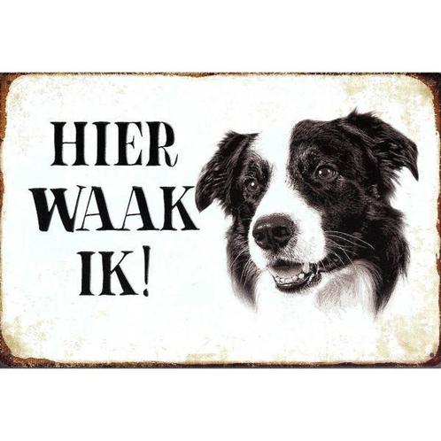 Wandbord - Hier Waak Ik – Border Collie, Huis en Inrichting, Woonaccessoires | Wanddecoraties, Nieuw, Ophalen of Verzenden