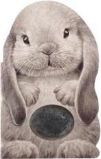 Furry Bunny 9781438050119 Annie Auerbach, Verzenden, Gelezen, Annie Auerbach