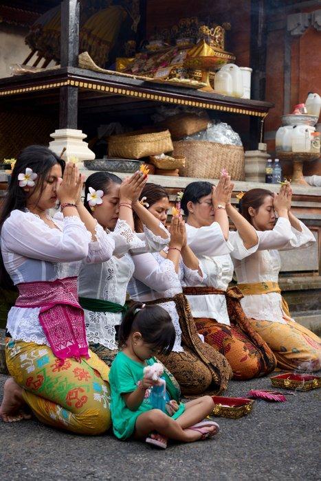 Geen veilingminimum - Authentieke zwarte gesneden, Verzamelen, Dierenverzamelingen