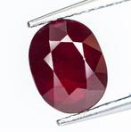 Robijn - 3.06 ct - Lotus Gemology - Diep Rood (Mozambique), Nieuw