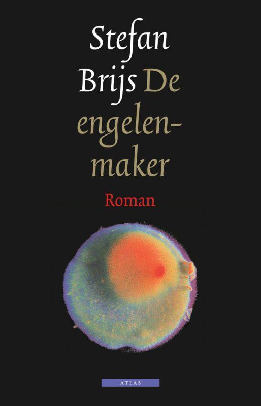 De engelenmaker 9789045014951 Stefan Brijs, Boeken, Romans, Gelezen, Verzenden