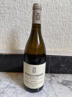 2020 Domaine des Comtes Lafon Porusots - Meursault 1er Cru, Verzamelen, Wijnen, Nieuw