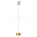 Oligo Grace Hanglamp LED 1-licht - onzichtbaar in hoogte ver, Huis en Inrichting, Lampen | Hanglampen, Verzenden, Nieuw