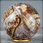 Natuurlijke Bol van versteend hout- 661.65 g