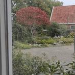 Ruime woning met tuin, gemeubileerd en nonsmoker, ..., Huizen en Kamers, Assen