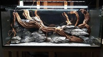 Golden wood 70-90cm aquarium decoratie hout beschikbaar voor biedingen