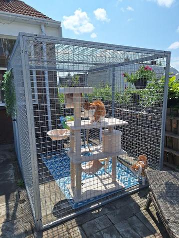Kattenren gegalvaniseerd * panelen of complete verblijven * beschikbaar voor biedingen