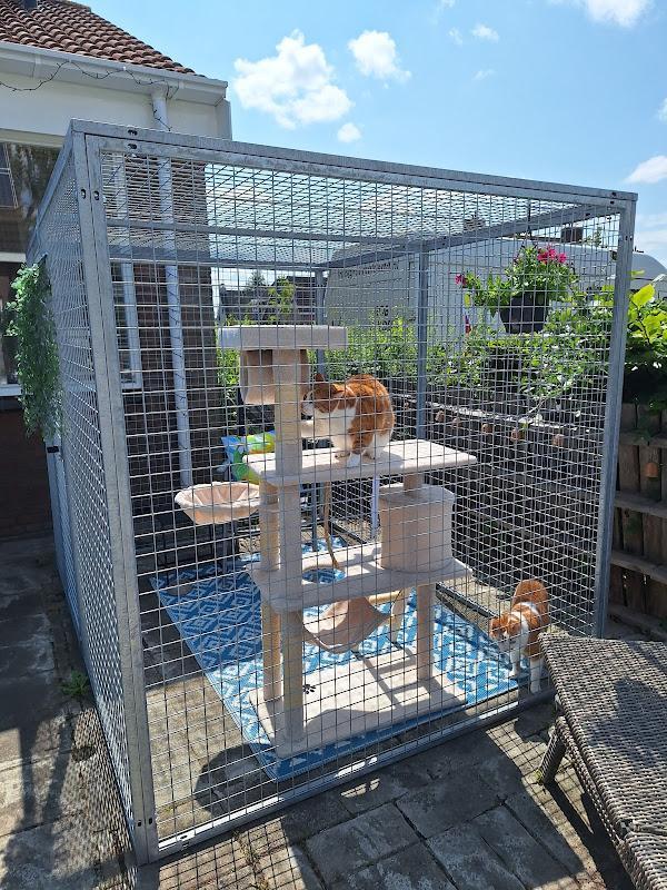 Kattenren gegalvaniseerd * panelen of complete verblijven *, Dieren en Toebehoren, Katten-accessoires, Nieuw, Ophalen of Verzenden
