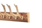 Decoratieve Wandkapstok DEER 50cm goud Metalen Hertengewei, Ophalen of Verzenden, Nieuw