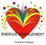 Energie Management 9789490104016 Crince, Boeken, Verzenden, Gelezen, Crince