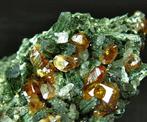 CW1024 Uitzonderlijke andradiet op hedenbergiet met kwarts, Verzamelen, Mineralen en Fossielen