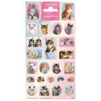 Kitten Stickers, Verzenden, Nieuw