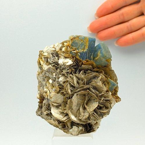 ACQUAMARINA BLU Intenso met VERZILVERD MUSKOVIET Kristallen, Verzamelen, Mineralen en Fossielen