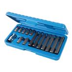Silverline Torx bitset - 30 en 75 mm - Gehard chroom-vana..., Ophalen of Verzenden, Nieuw