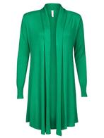 Vest Openvallend Groen, dames lang vest groen, Kleding | Dames, Truien en Vesten, Nieuw, Verzenden