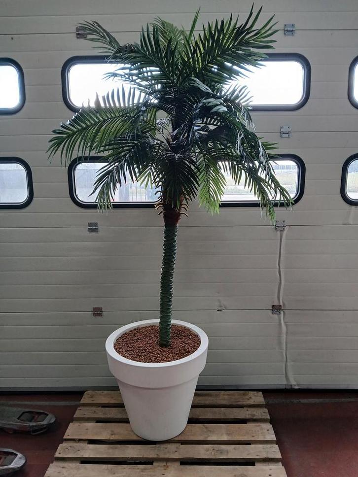 Kunststof palm in witte kunststof pot, totale hoogte 230 cm, Diversen, Overige Diversen, Ophalen