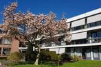 Te huur  Haren (GR) 2 kamer(s), Irenelaan, Haren (GR), Direct bij eigenaar, Appartement