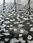 M. C. Escher (after) - Three Worlds (1955) - Taschen reprint