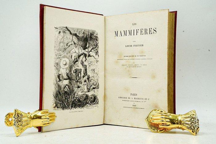 Louis Figuier - Les Mammifères - 1869, Antiek en Kunst, Antiek | Boeken en Bijbels