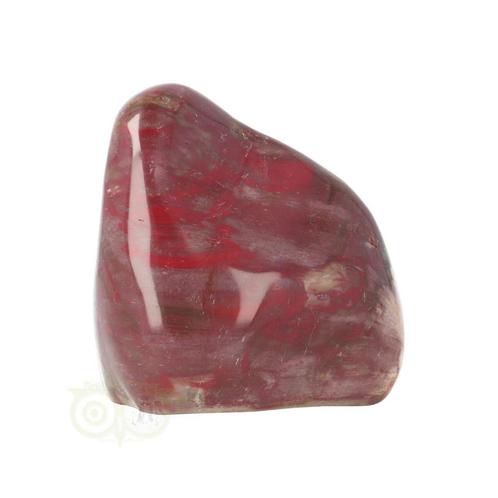 Versteend hout sculptuur nr 23, Sieraden, Tassen en Uiterlijk, Edelstenen, Nieuw, Verzenden