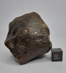 Gewone chondriet-meteoriet met goede vorm. geen