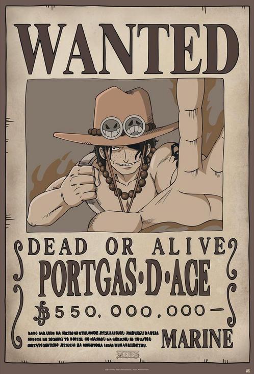 Poster One Piece Wanted Ace 61x91,5cm, Verzamelen, Posters, Nieuw, A1 t/m A3, Verzenden