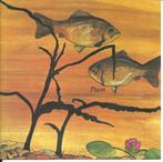 cd - Pisces  - Pisces, Cd's en Dvd's, Verzenden, Zo goed als nieuw