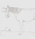 Jan Mankes (1889-1920) - Paard, Antiek en Kunst, Antiek | Overige Antiek