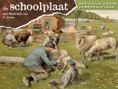 Schoolplaat het volle leven zomerhalfjaar 9789075531633, Boeken, Overige Boeken, Zo goed als nieuw, Verzenden