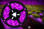 Led strip groeilamp - groei led -5V Usb Led Licht- Groeilamp, Tuin en Terras, Kweekspullen, Verzenden, Nieuw, Kweeklamp