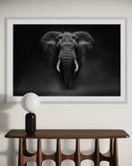 Rudy barret - Silence Éléphant - XL - 1/1 EA
