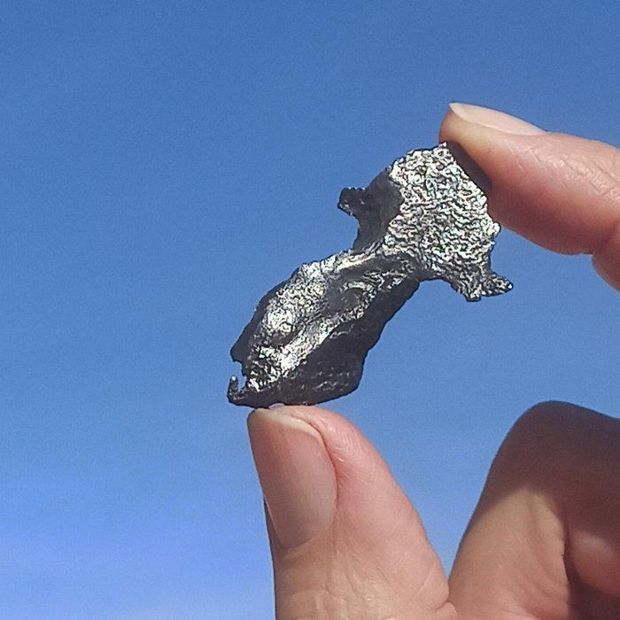 Zeer fijn meteoriet Gebel Kamil. Voorbeeld zonder, Verzamelen, Mineralen en Fossielen