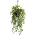 Botanic-Haus Kunst-potplanten Bamboe-plantenhanger (1 stuk), Verzenden, Nieuw