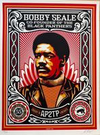 Shepard Fairey (OBEY) (1970) - Educate to Liberate, Antiek en Kunst