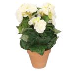 Kunstplanten Begonia in pot wit 30 cm - Overige kunstplanten, Ophalen of Verzenden