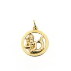 Gouden sterrenbeeld hanger; Waterman (Alle Gouden sieraden), Ophalen of Verzenden, Gebruikt, Goud, Overige merken