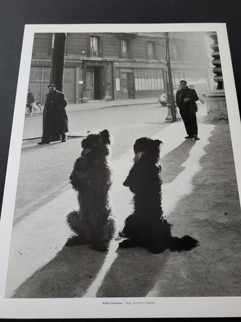 Robert Doisneau (1912 - 1994) - Dogs, rue de la Chapelle,, Antiek en Kunst, Kunst | Schilderijen | Modern