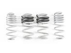 CTS Turbo Lowering Springs AUDI A4/S4 B8/B8.5