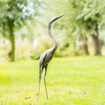 Mooievogels.nl - Reiger beschikbaar voor biedingen