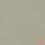 Kurk Klikvloer Linoleum - Concrete Orbit - per m2, Ophalen of Verzenden, Nieuw