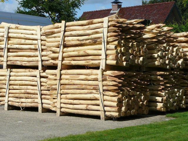 Robinia(acacia)palen, hekwerk, poorten, gaas, hang-sluitwerk, Tuin en Terras, Palen, Balken en Planken, 180 tot 250 cm, Palen