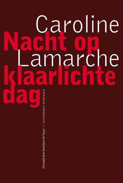 Nacht op klaarlichte dag / Franse reeks 9789493186446, Boeken, Romans, Zo goed als nieuw, Verzenden