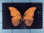 Mike Blackarts - Orange Butterfly with diamonds plexiglass, Antiek en Kunst, Kunst | Schilderijen | Modern