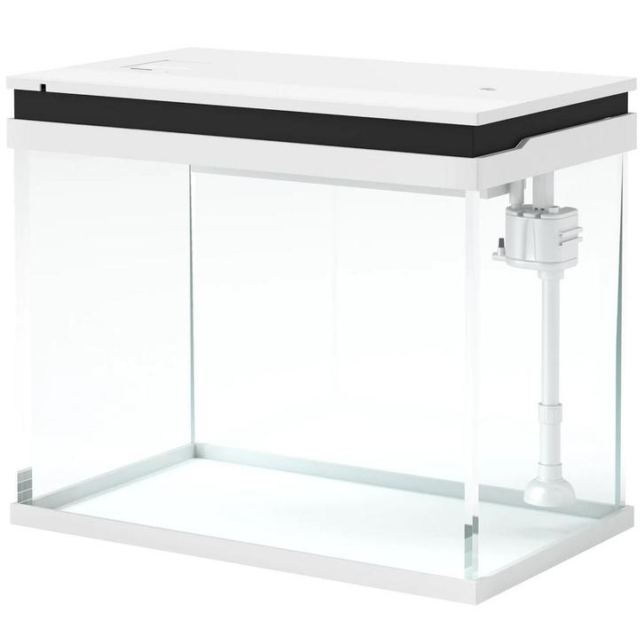 Aquarium, 41 Liter Glazen Aquarium Met Filtersysteem, LED-ve, Dieren en Toebehoren, Konijnen