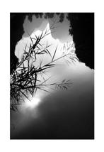 João de Castro - Ninh Binh - Series: Monochrome Visions: