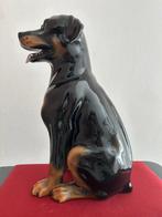 sculptuur, Rottweiler - 57 cm - Keramiek, Nieuw