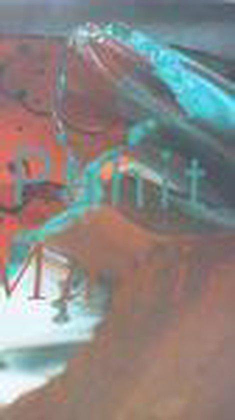 Pahit Manis 9789080370630, Boeken, Overige Boeken, Zo goed als nieuw, Verzenden