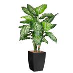 Dieffenbachia kunstplant, H140cm, Huis en Inrichting, Kamerplanten, Ophalen of Verzenden