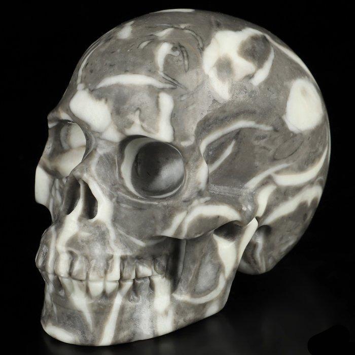 Afrodisiacum Schelpen Marmer Schedel – 477g, Antiek en Kunst, Curiosa en Brocante